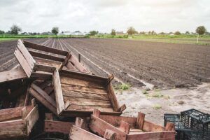Residuos agrícolas tras la cosecha: qué hacer con plásticos, cajas y otros restos – Residuos Cabezón